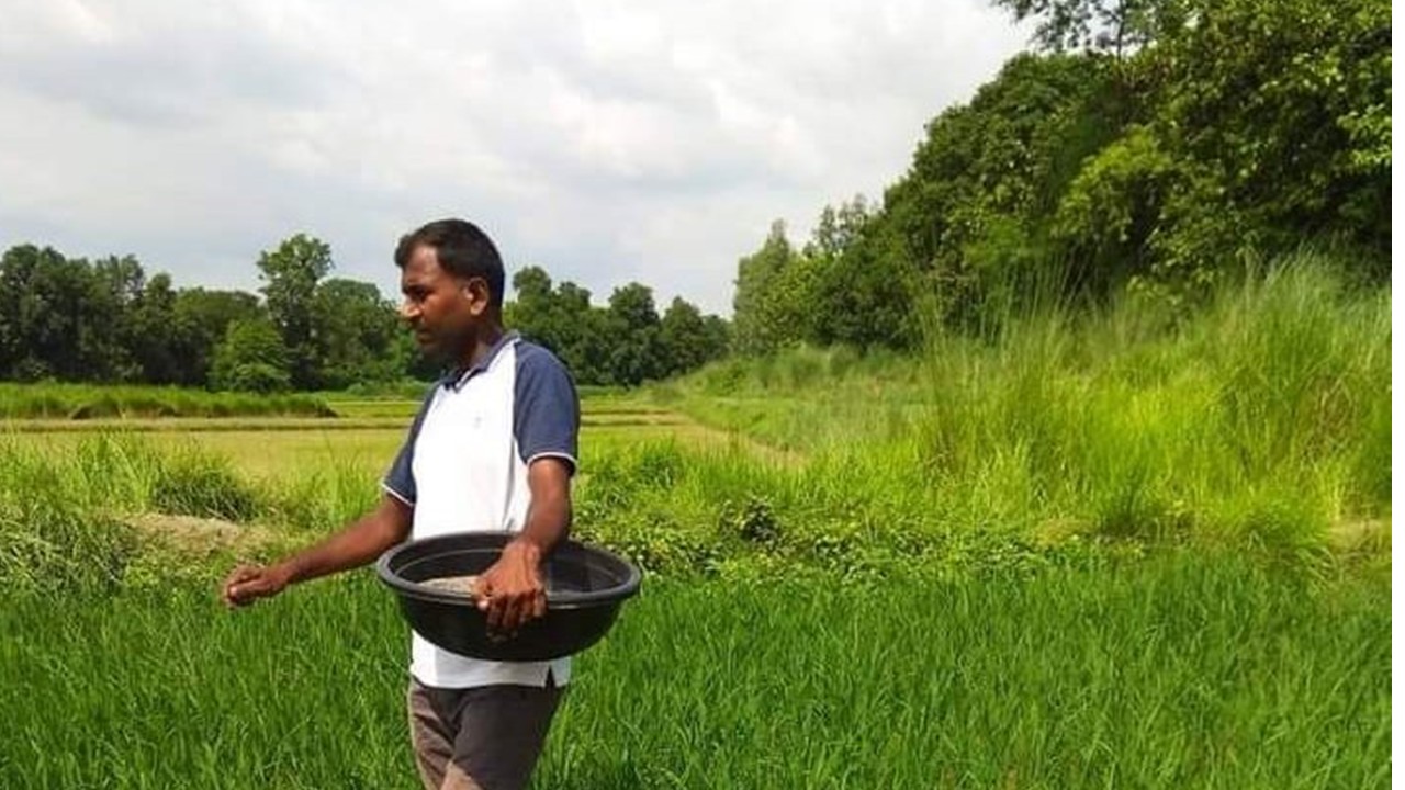 Marathwada Farmers Hit by Urea Crunch, Soaring Input Costs