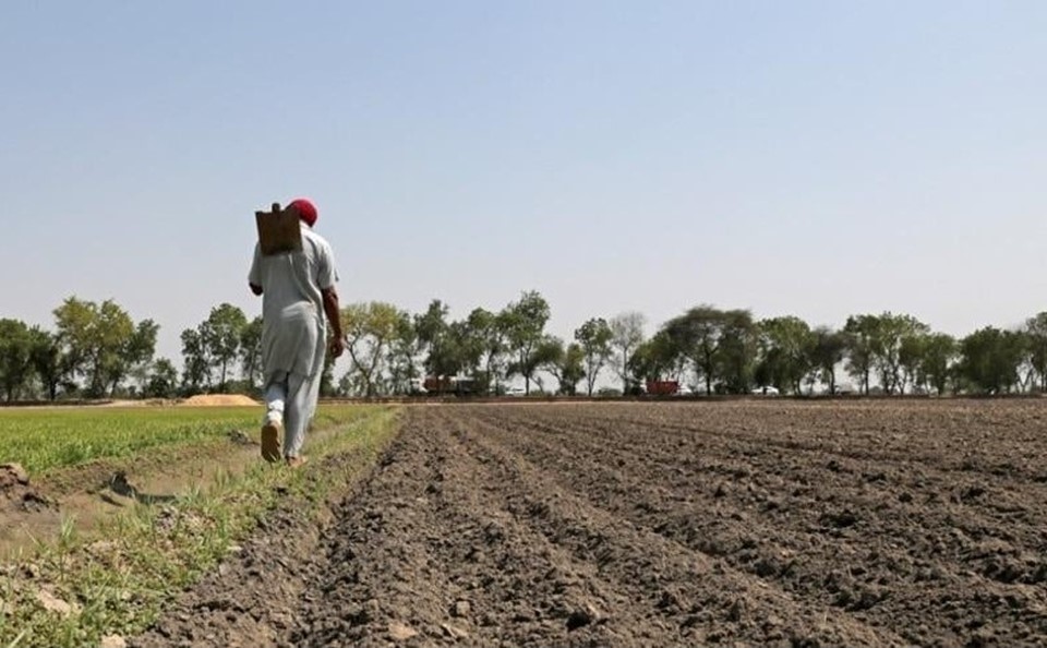 Deception Again on Support Price and Agricultural Crisis