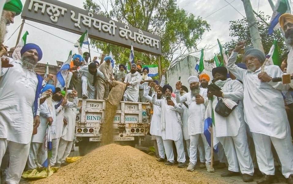 Basmati Farmers Protest in Amritsar, Dump Crop Outside DC Office Over Low Rates