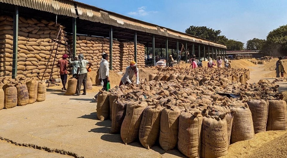 Guarantee: Neither Purchase, Nor Support Price, Nor Distribution