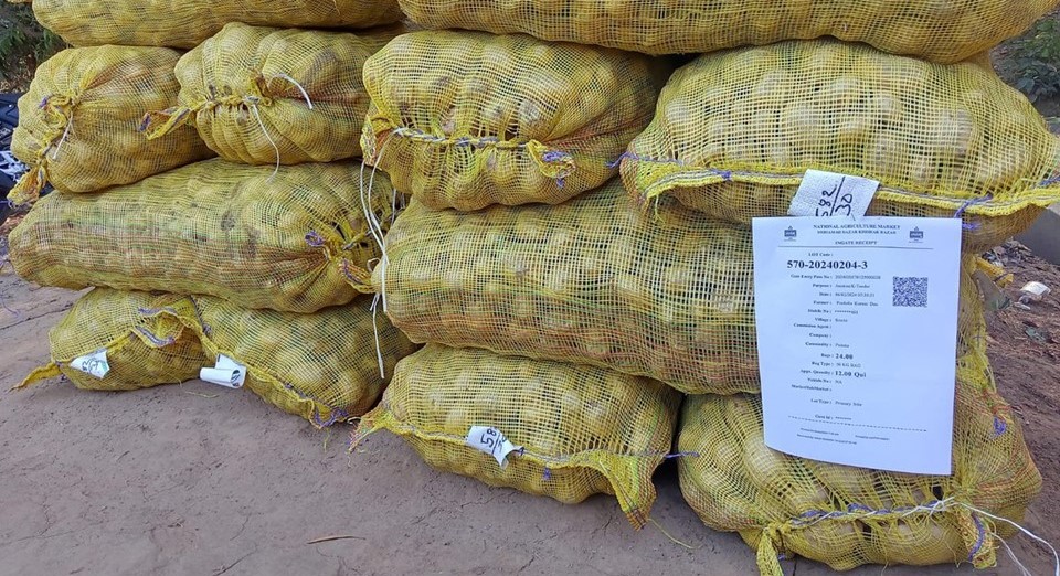 West Bengal Potato Traders Announce Strike Over Export Ban