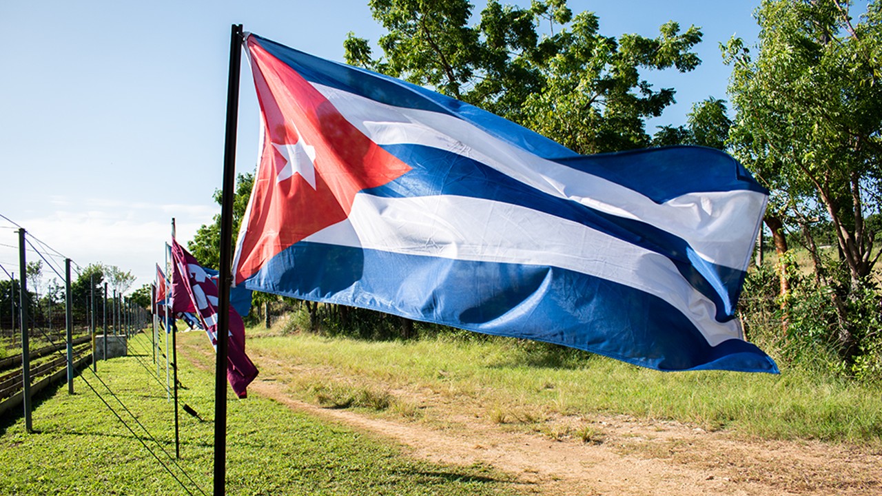 Concluding Part: Encounters with Two Women Revolutionaries in Cuba