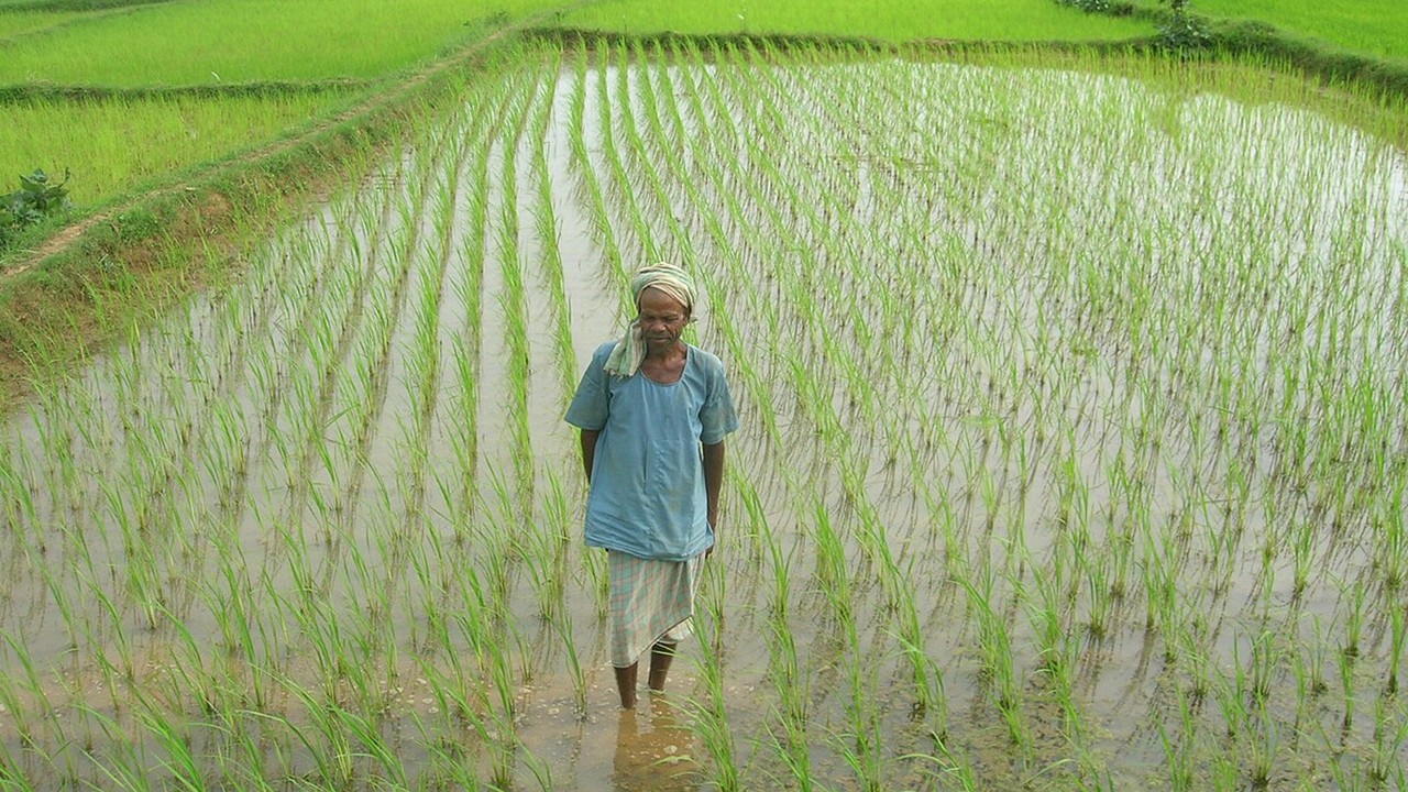 Fertilizer Crisis in Chhattisgarh And Pro-Corporate Government