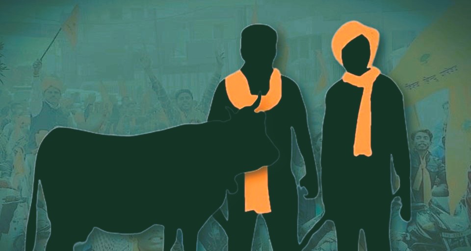 Six Cow Vigilantes Booked After Dalit Man Alleges Assault and Casteist Abuse in Jalna